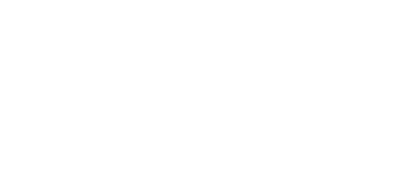 Decorative section graphic