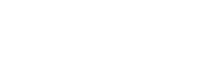 Decorative section graphic