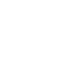 Cyber security icon
